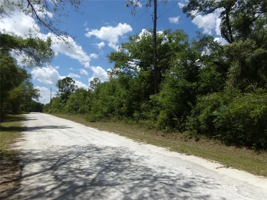 Knoxville Drive, Webster, FL 33597 - #3