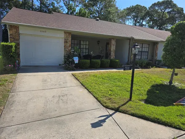 6589 Brambleleaf Drive, SPRING HILL, FL 34606