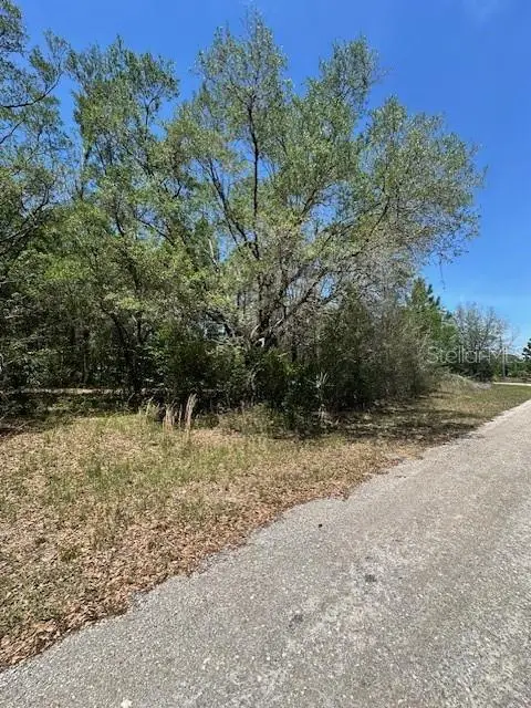 8681 N Catapane Loop, Crystal River, FL 34428 - #3