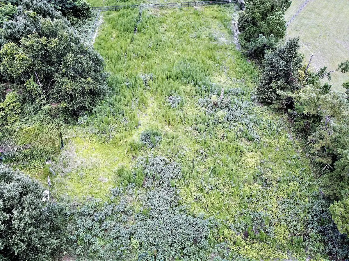 9856 Pangola Loop, Land O Lakes, FL 34639 - #1