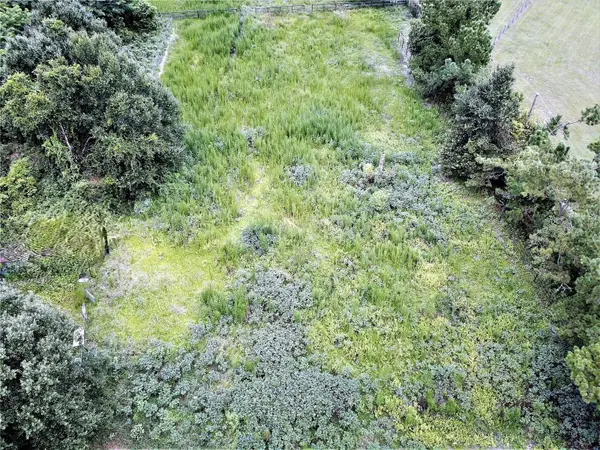 9856 Pangola Loop, LAND O LAKES, FL 34639