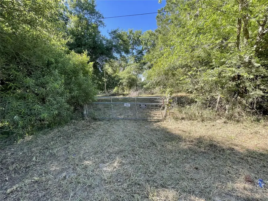 9856 Pangola Loop, Land O Lakes, FL 34639 - #2