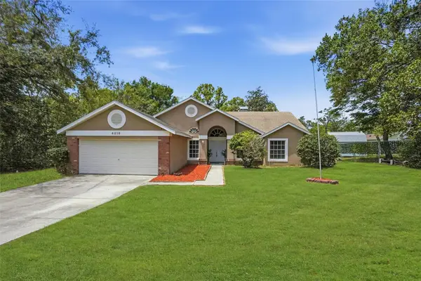 4219 Newton Road, SPRING HILL, FL 34606
