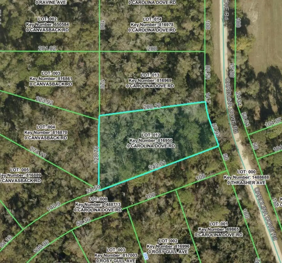 Lot 12 Carolina Dove Road, Brooksville, FL 34614 - #1