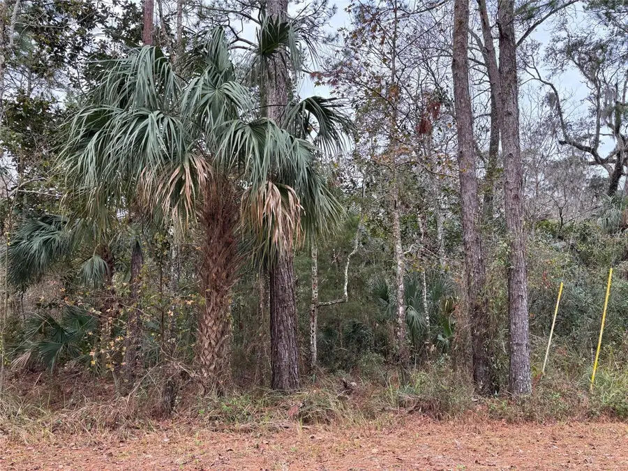 Lot 12 Carolina Dove Road, Brooksville, FL 34614 - #2