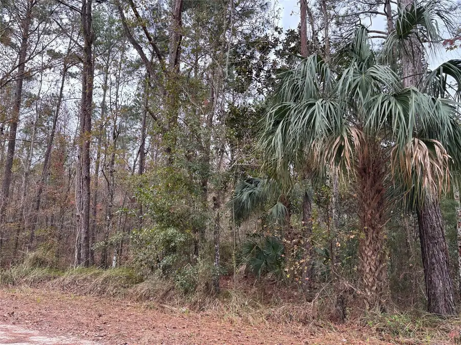 Lot 12 Carolina Dove Road, Brooksville, FL 34614 - #3