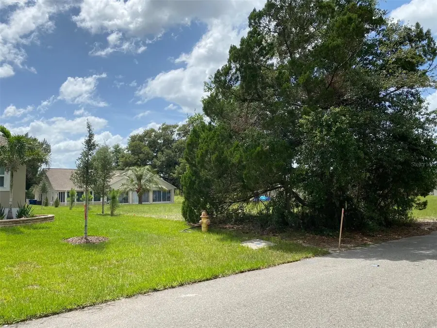 Lot 194 Chestnut Ridge Road, Dade City, FL 33523 - #3