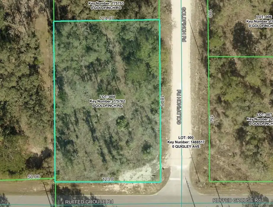 Goldfinch Road, Weeki Wachee, FL 34614 - #1