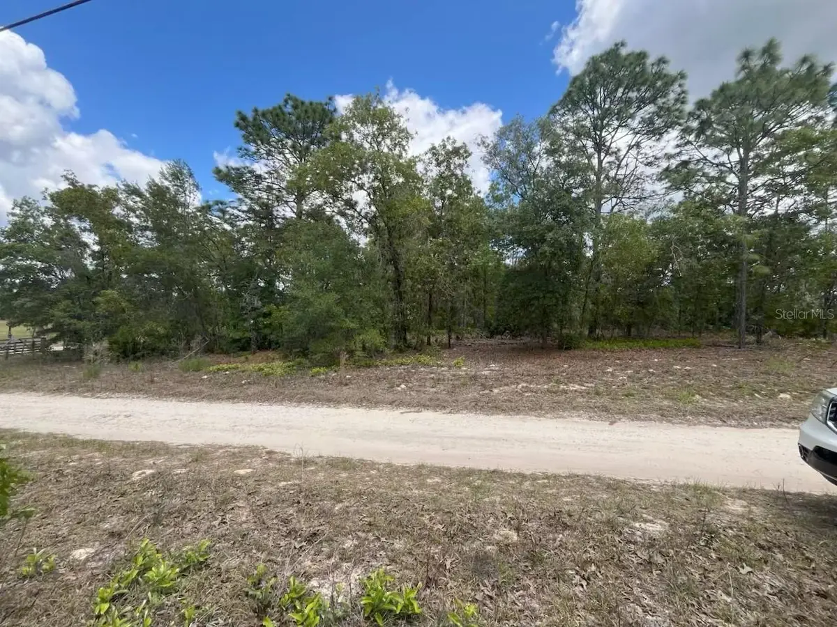 3726 W Spoon Wood Court, Dunnellon, FL 34433 - #1