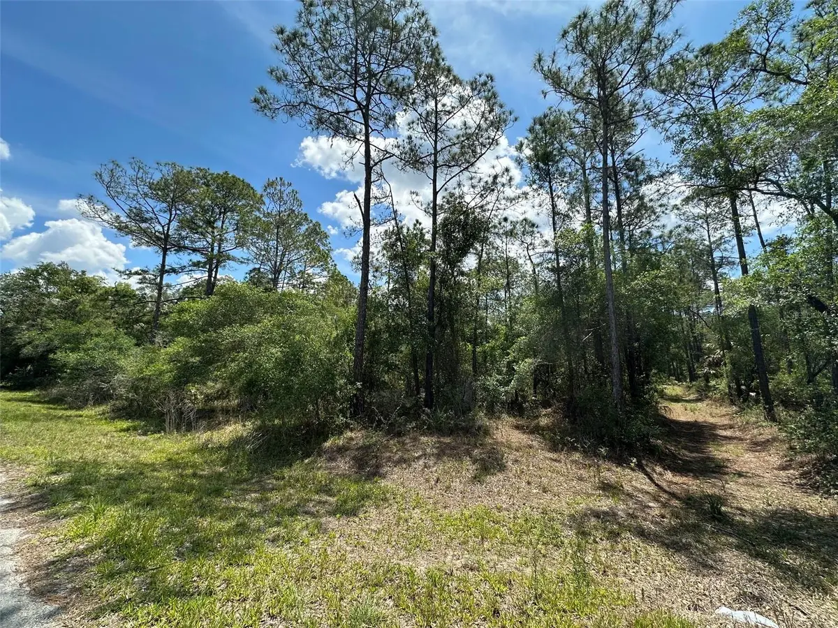 12184 W Arborvitae Place, Crystal River, FL 34428 - #1
