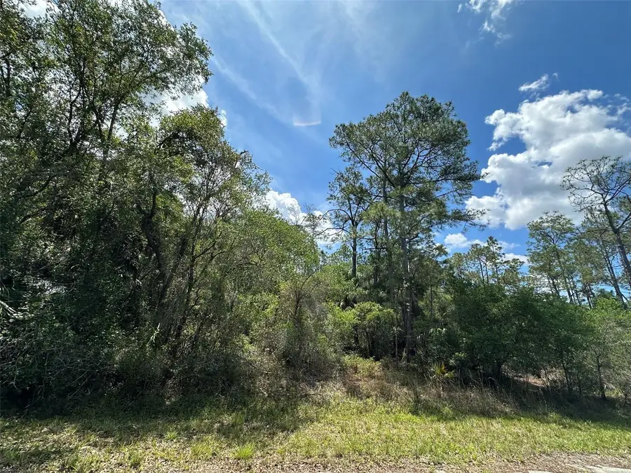 12184 W Arborvitae Place, Crystal River, FL 34428 - #2