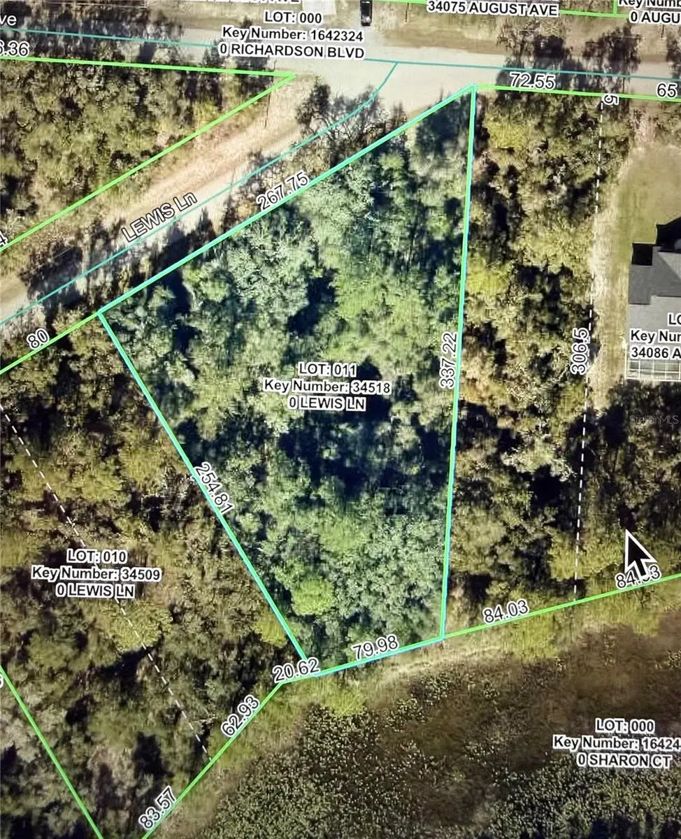 Lewis Lane, Webster, FL 33597 - #1