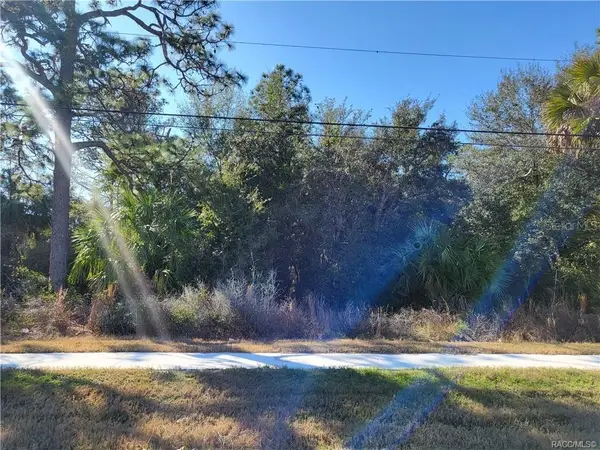 1224 S Suncoast Boulevard, HOMOSASSA, FL 34448