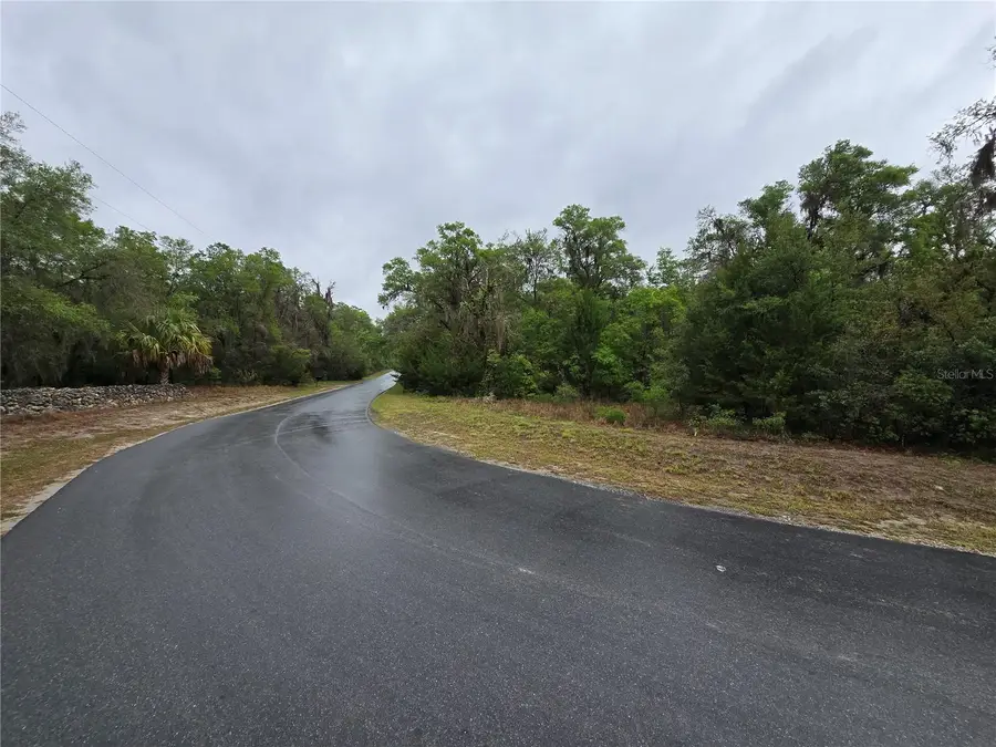 6727 N Linen Point, Dunnellon, FL 34433 - #3