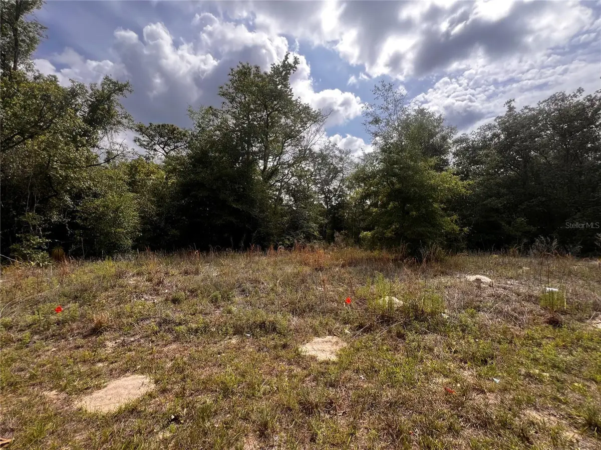 7095 N Foxdale Drive, Citrus Springs, FL 34434 - #1