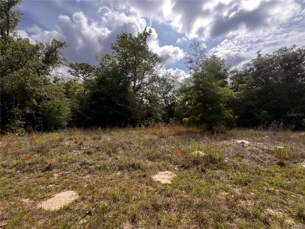 7095 N Foxdale Drive, CITRUS SPRINGS, FL 34434