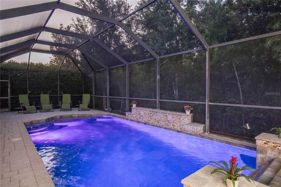 15141 Azra Drive, Odessa, FL 33556 - #2
