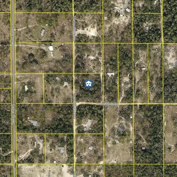 Trinity Road, Brooksville, FL 34614 - #2