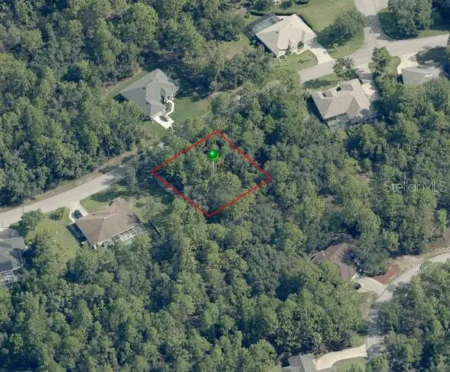 31 Saintpaulia Street, Homosassa, FL 34446 - #1