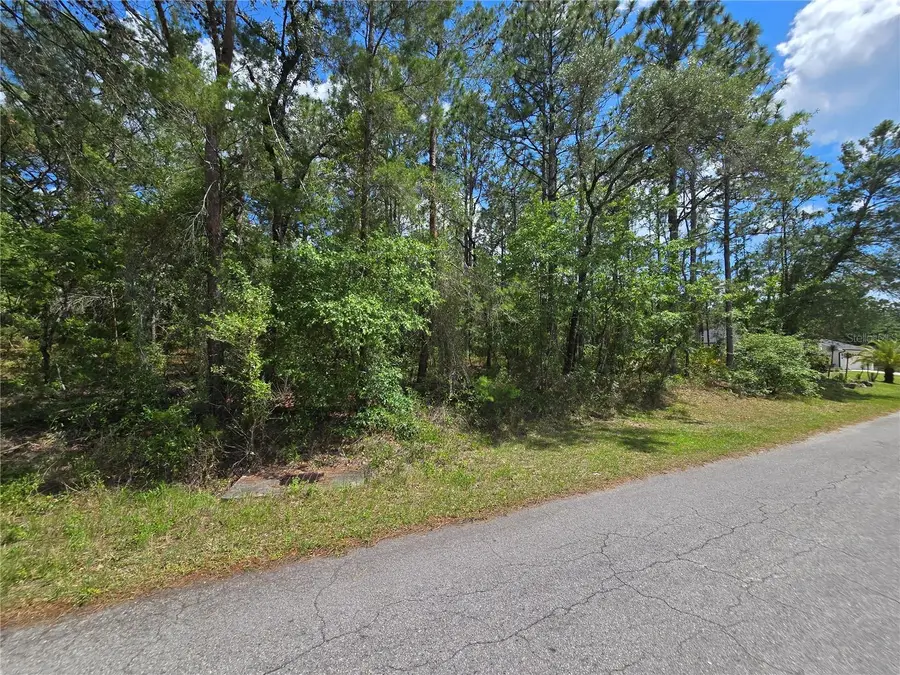 31 Saintpaulia Street, Homosassa, FL 34446 - #3