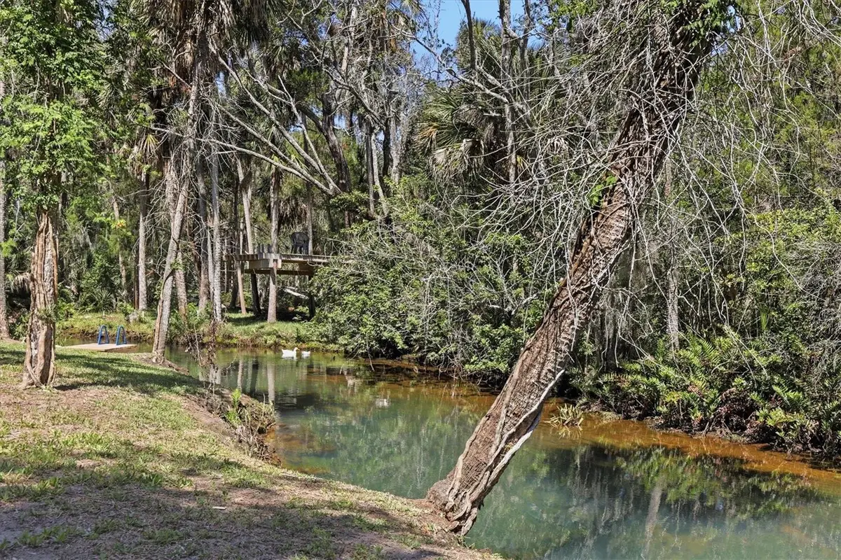 6240 Colony Circle, Weeki Wachee, FL 34607 - #1