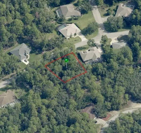 29 Saintpaulia Street, Homosassa, FL 34446 - #1