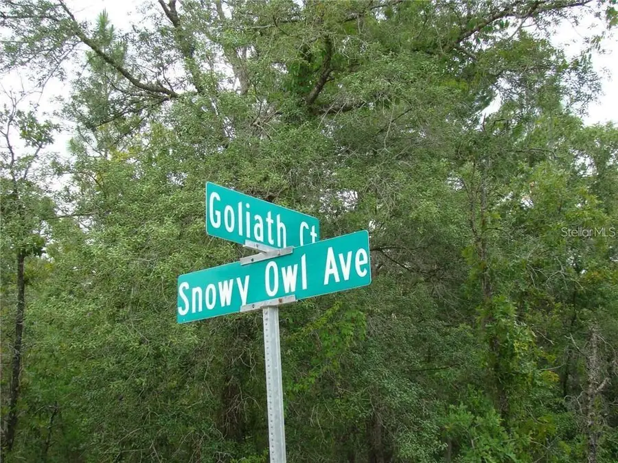 0 Goliath Court, Weeki Wachee, FL 34614 - #2