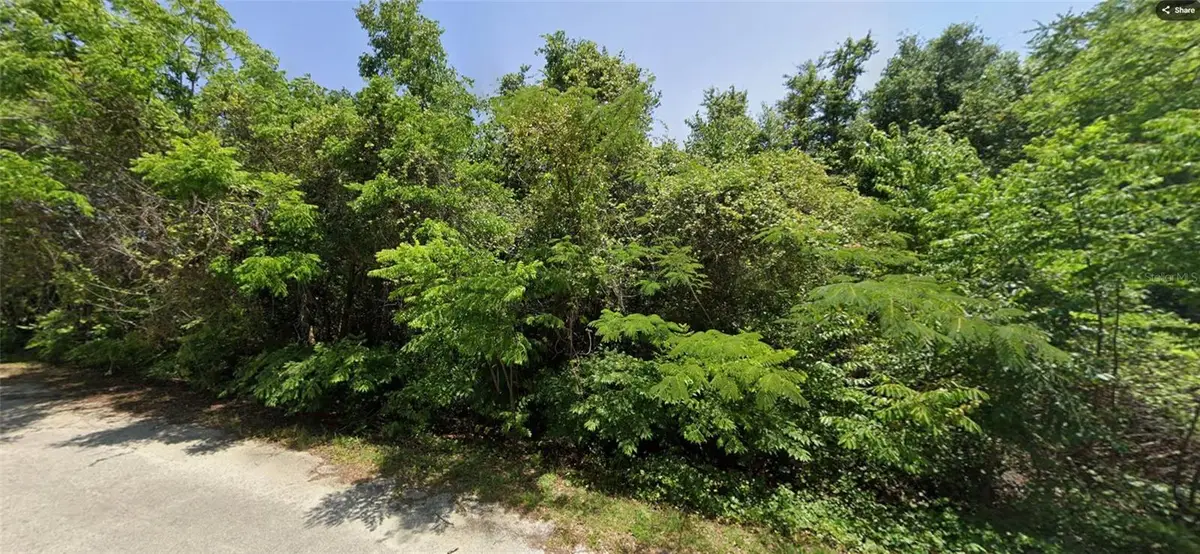 19 SE 146 Lane, Summerfield, FL 34491 - #1