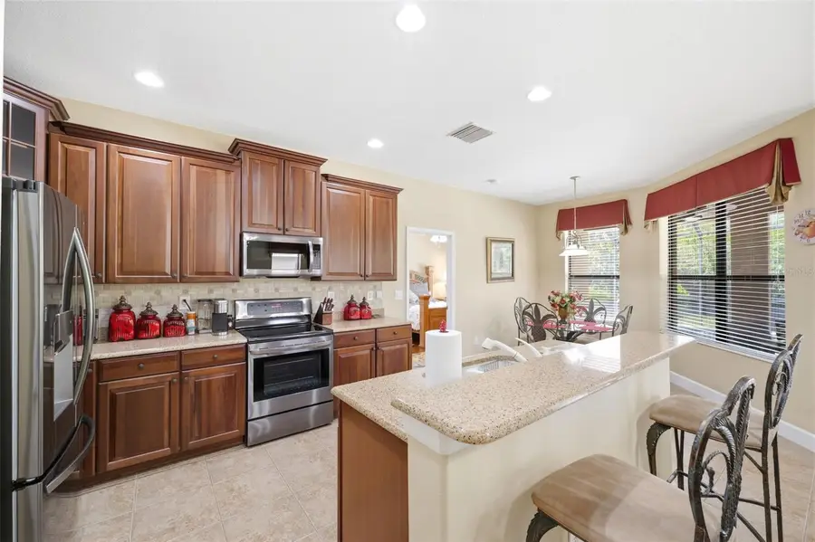 107 Silver Falls Dr Drive, Apollo Beach, FL 33572 - #3