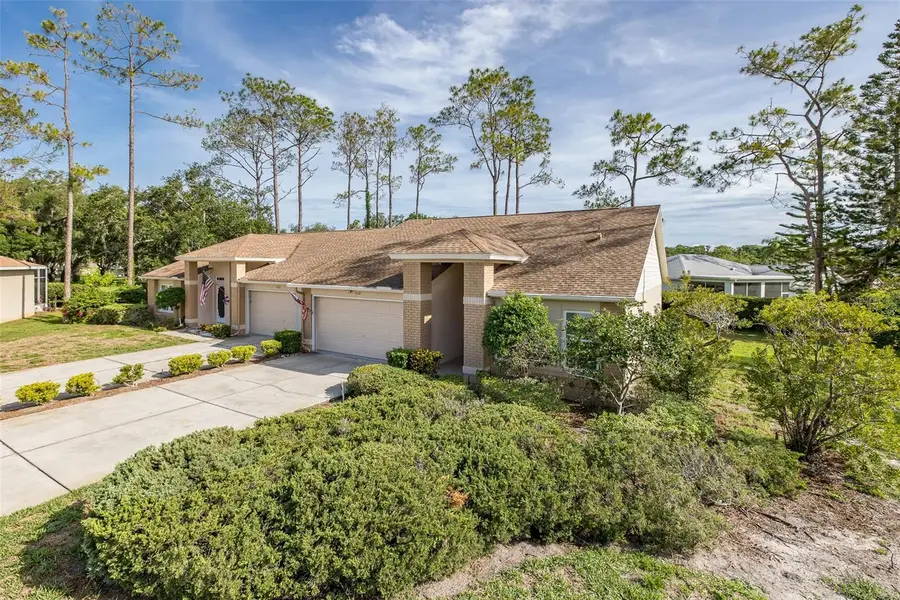 9519 Scenic Pine Court, New Port Richey, FL 34655 - #2