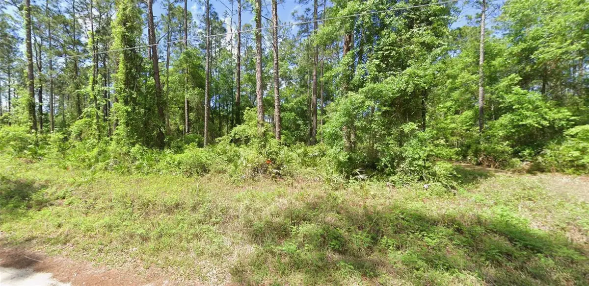 0 NE 156 Place, Fort McCoy Anthony, FL 32134 - #1