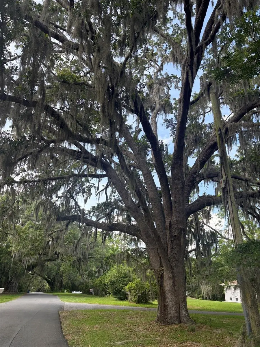 Mildred Avenue, Brooksville, FL 34601 - #2