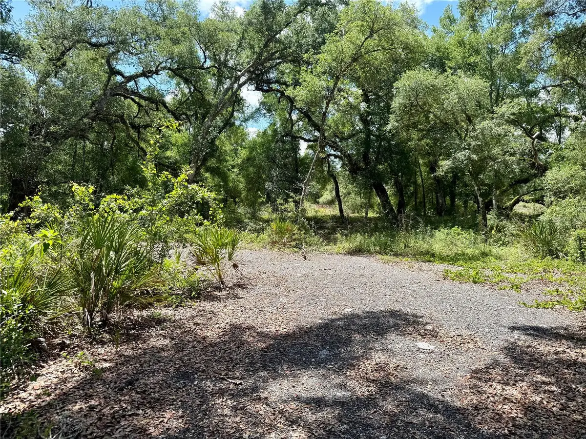 Long Circle, Webster, FL 33597 - #1
