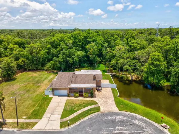 5904 Springrun Court, HOLIDAY, FL 34690