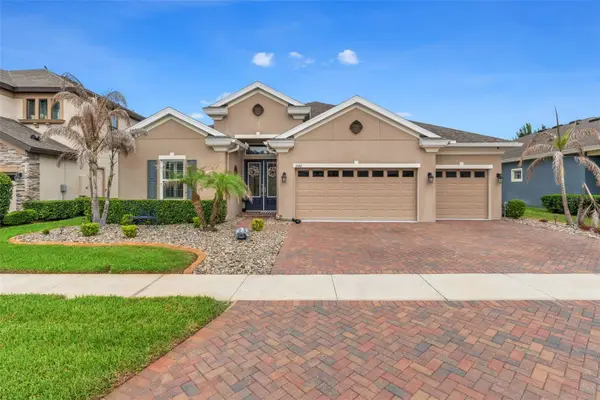 8142 Water Color Drive, LAND O LAKES, FL 34638