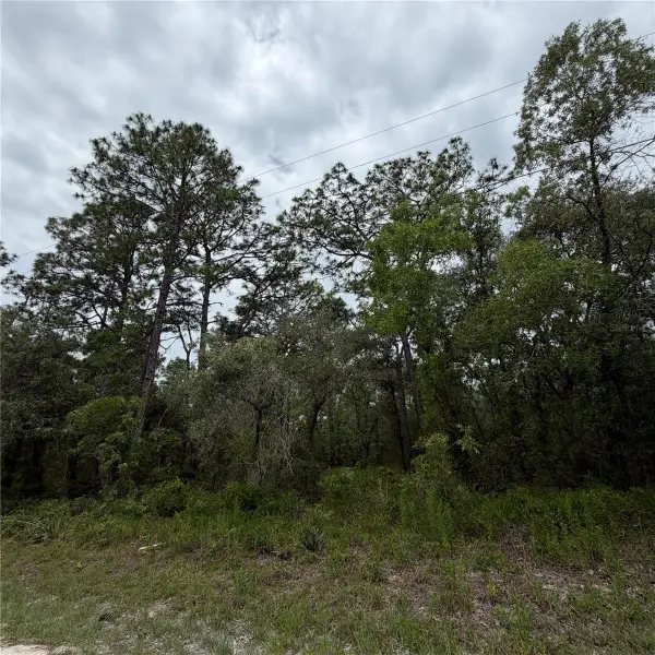 18011 Nutcracker Road, WEEKI WACHEE, FL 34614