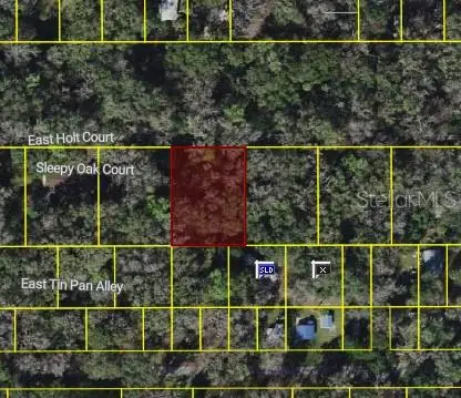 9346 E Sleepy Oak Court, Inverness, FL 34453 - #1
