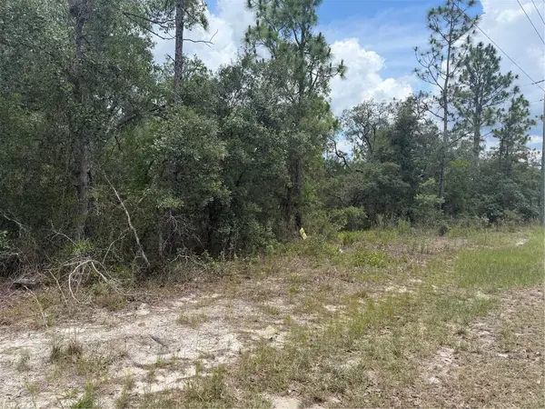 6215 S Premiere Avenue, HOMOSASSA, FL 34446