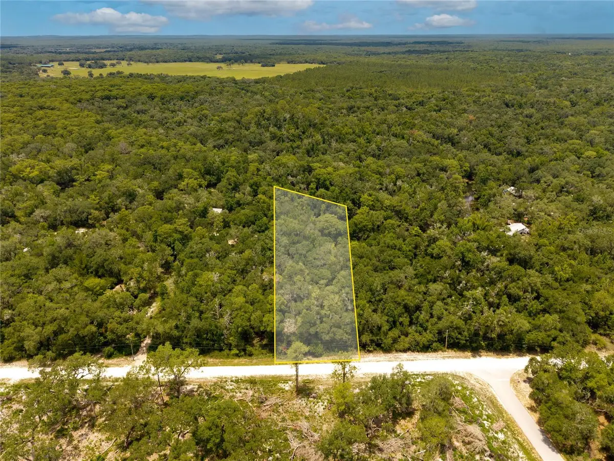 7353 Riverview Drive, Webster, FL 33597 - #1