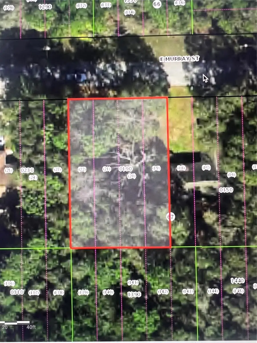 3404 E Murray Street, Inverness, FL 34453 - #1