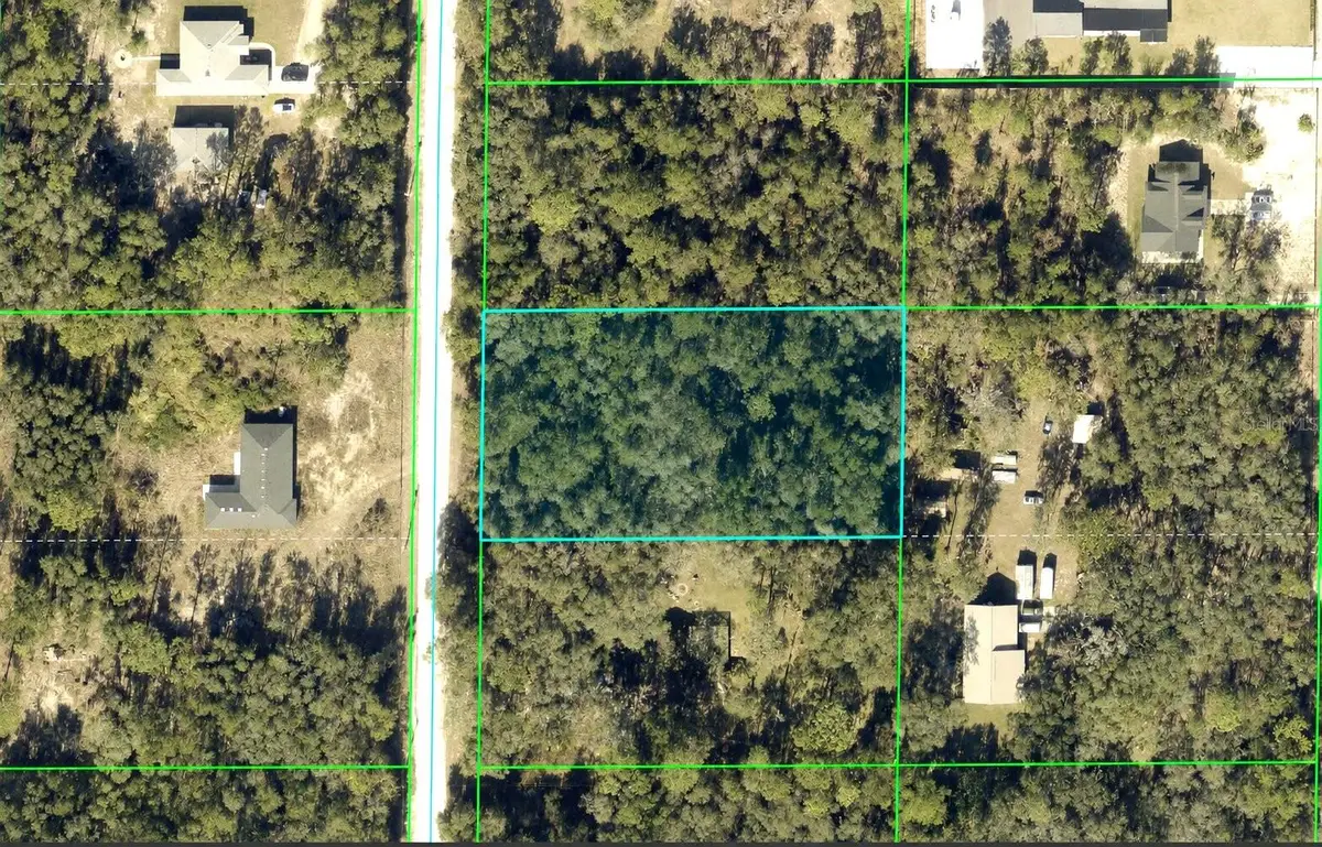 Alloy Street, Webster, FL 33597 - #1
