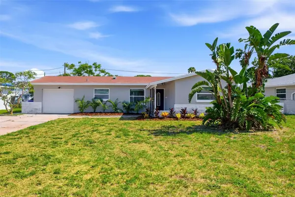 307 87th Avenue Ne, ST PETERSBURG, FL 33702