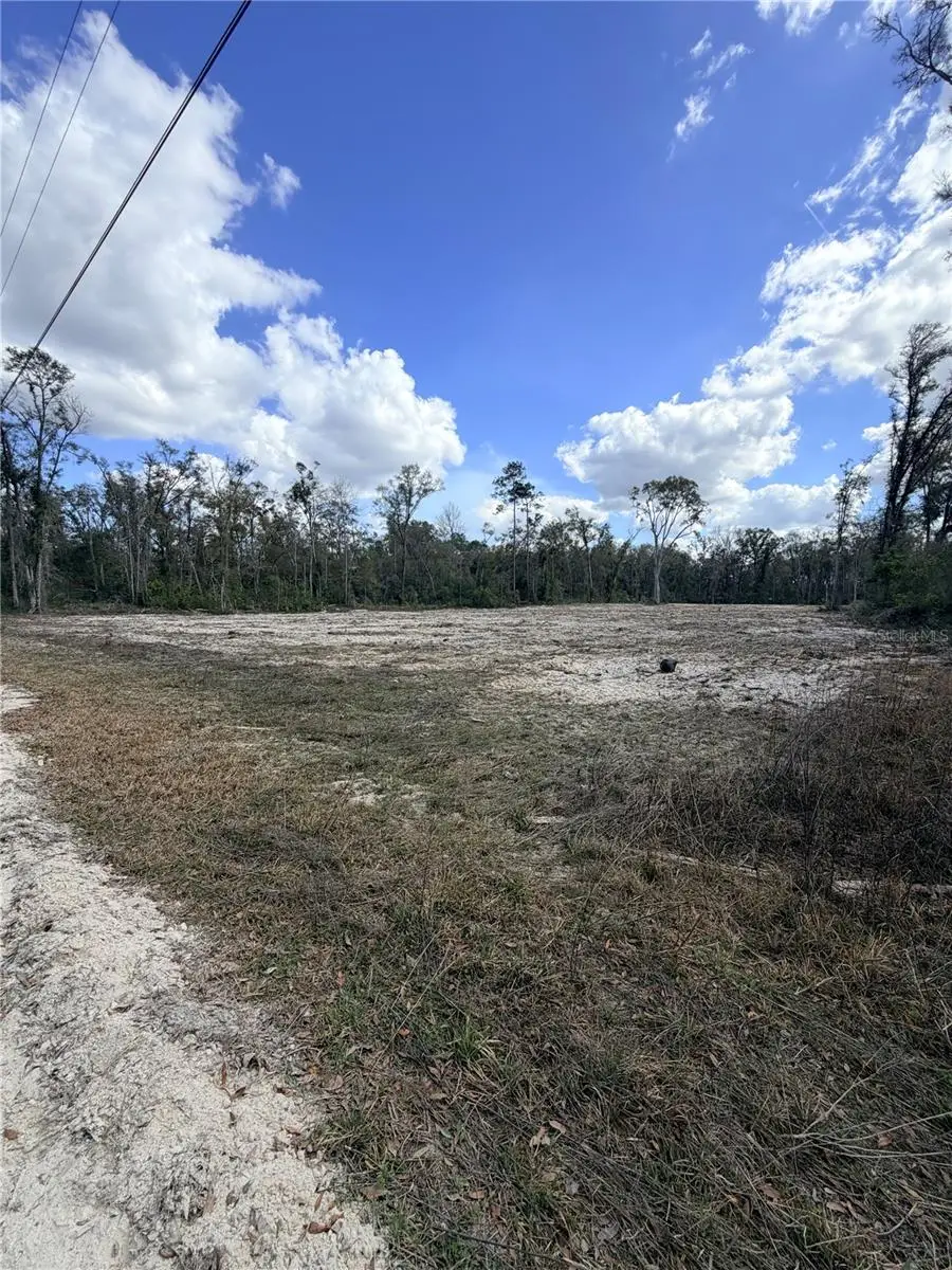 163 NE 159th Avenue, Old Town, FL 32680 - #1