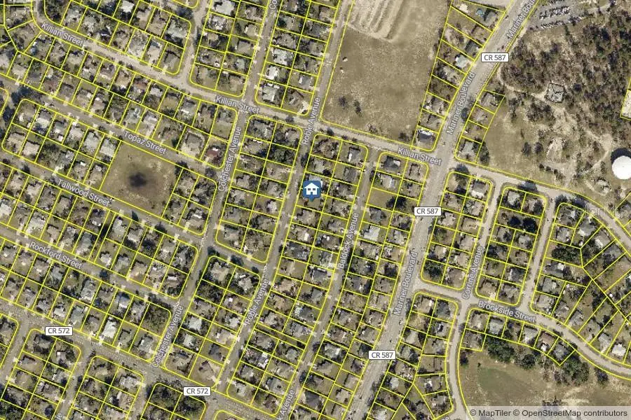 TBD Roble Avenue, Spring Hill, FL 34608 - #3