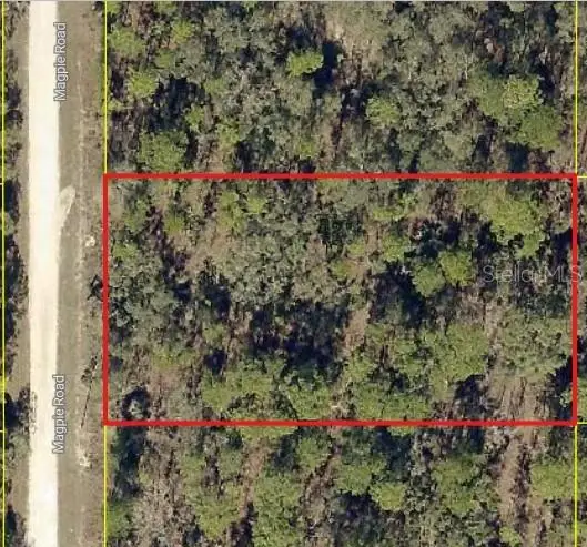 16026 Magpie Road, WEEKI WACHEE, FL 34614