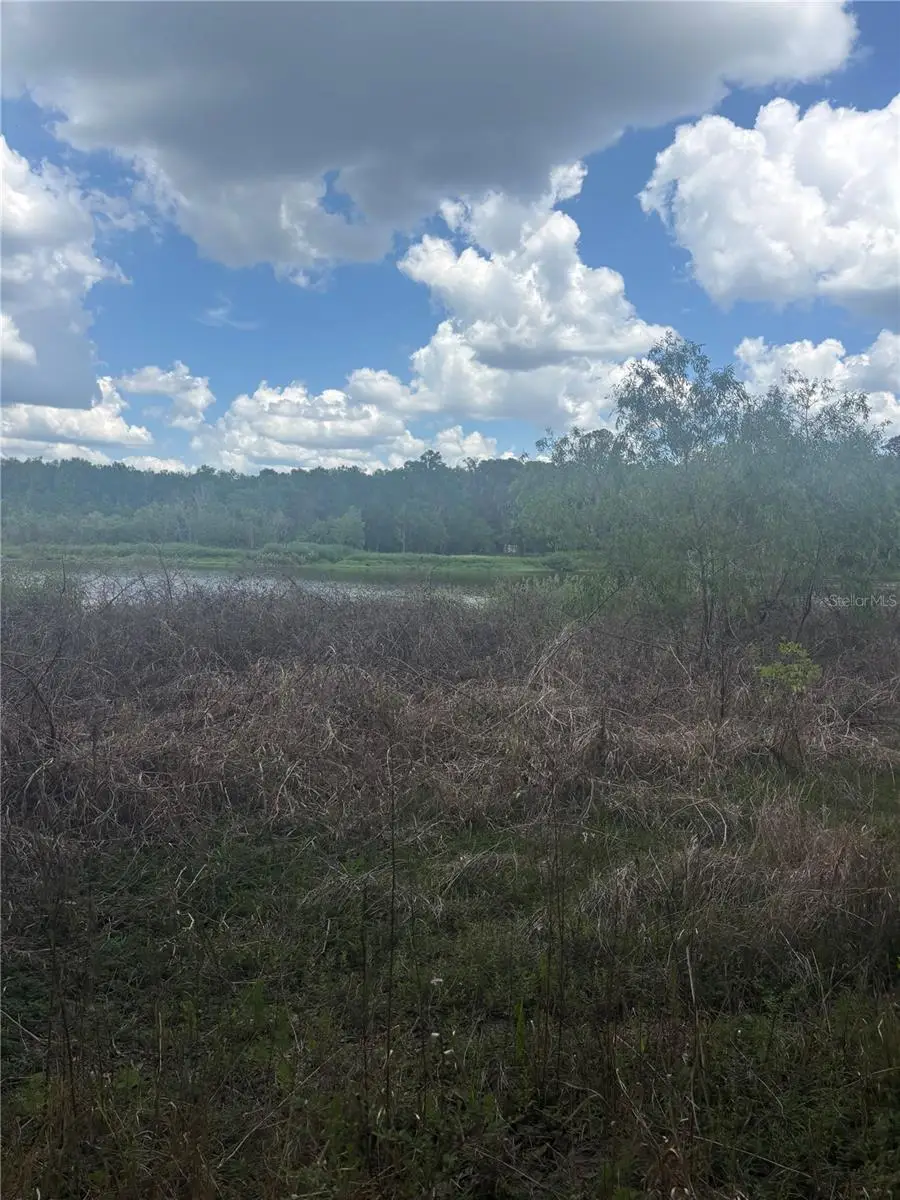 Deepwell Drive, Brooksville, FL 34602 - #2