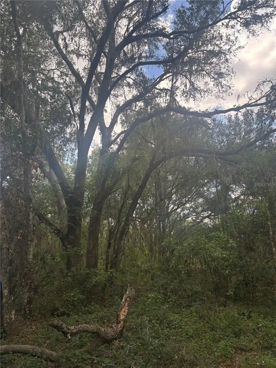 Deepwell Drive, Brooksville, FL 34602 - #3