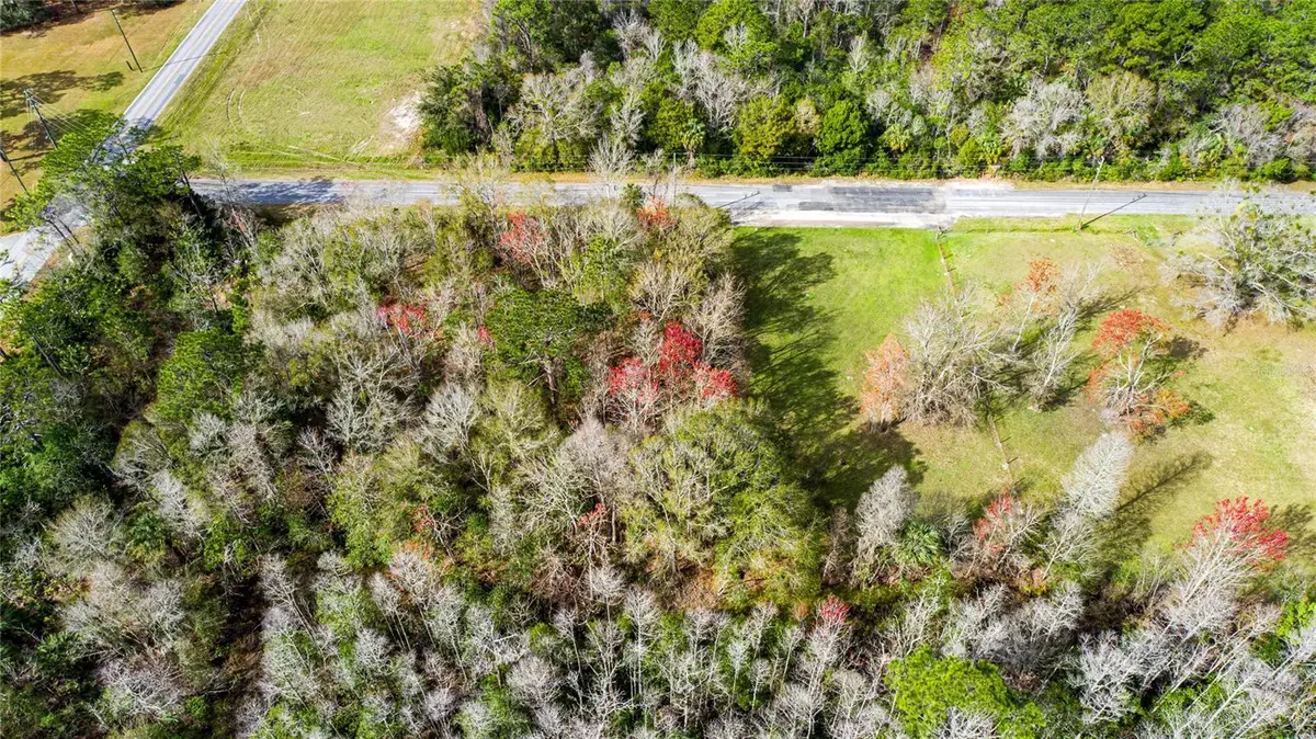 4925 S Morningside Terrace, Homosassa, FL 34446 - #1