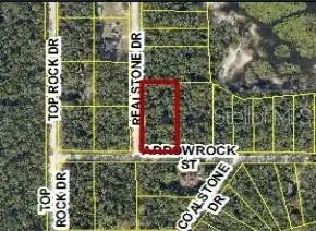 9028 Realstone Drive, WEBSTER, FL 33597