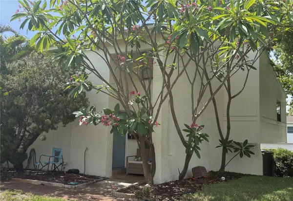 4221 La Sorrento Court, TAMPA, FL 33611